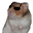 Sermo